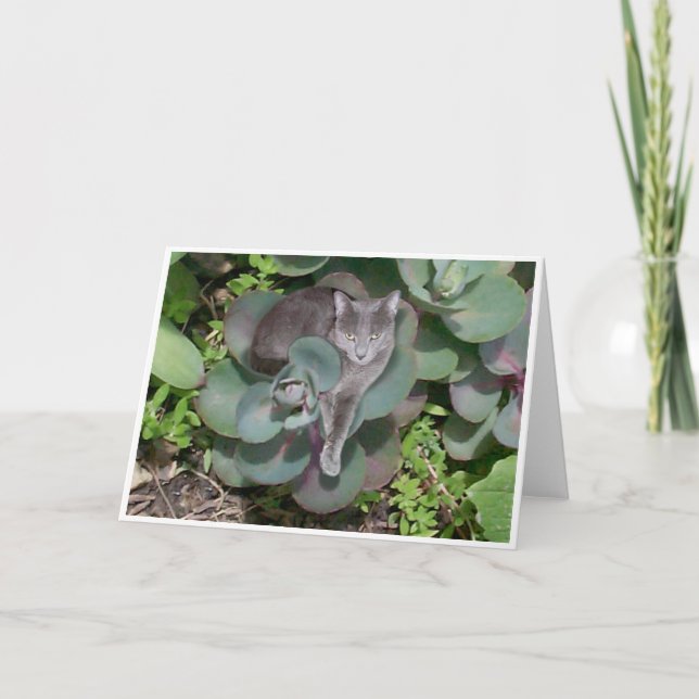 Camouflage Card (Front)