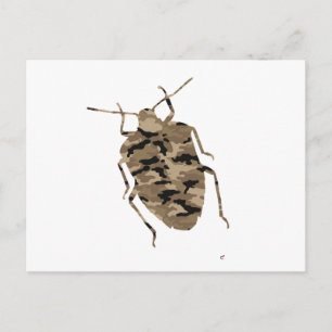 Camouflage Cockroach Silhouette Postcard