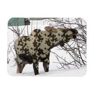 Camouflage Moose Magnet