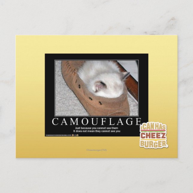 Camouflage Postcard (Front)