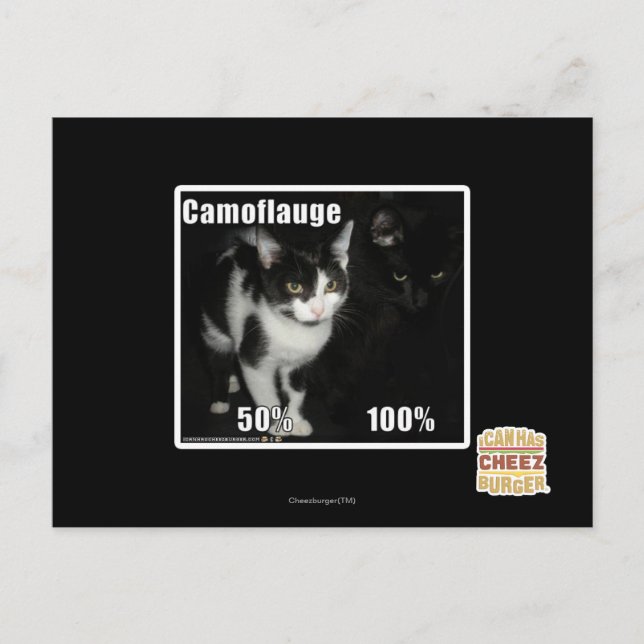 Camouflage Postcard (Front)