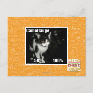 Camouflage Postcard