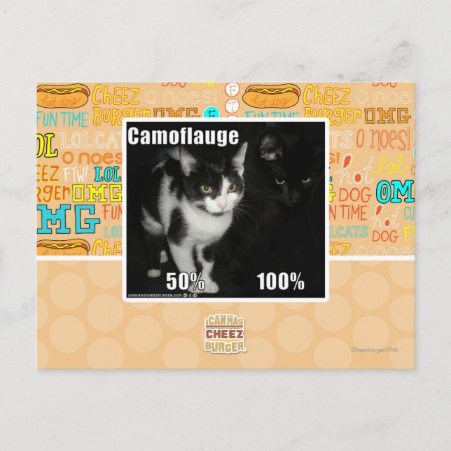 Camouflage Postcard (Front)
