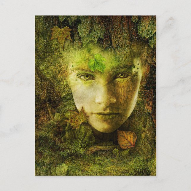 Camouflage Postcard (Front)