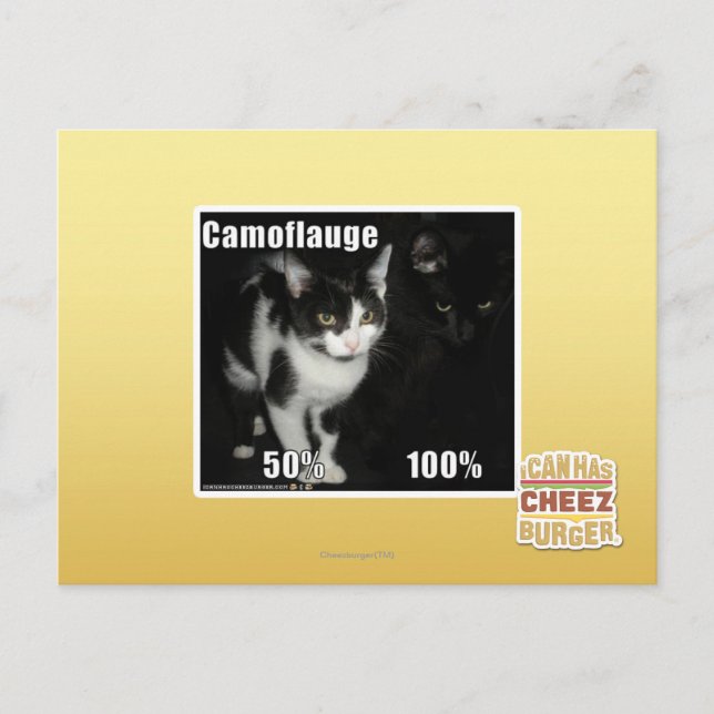 Camouflage Postcard (Front)