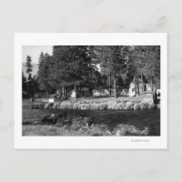 Camp Sherman, Oregon view of Rogers Cabins