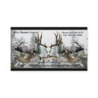 Camp Six Outfitters with Steelhead 2