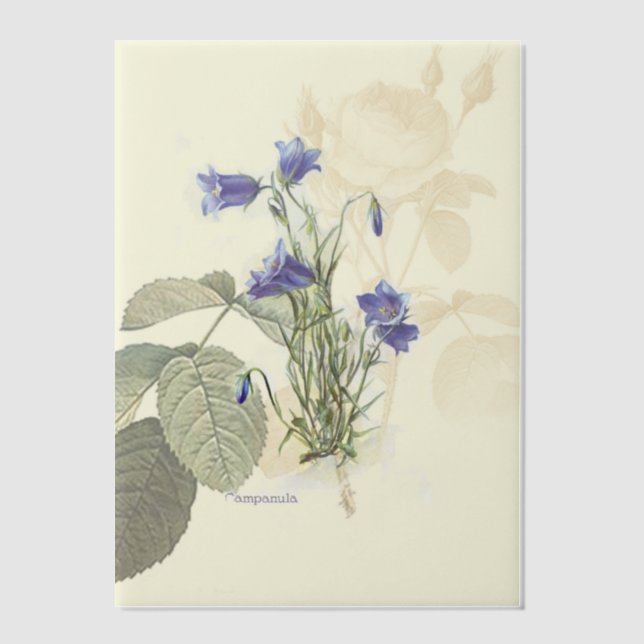 Campanula Bluebell Botanical Overlay Vellum Invitations (Front)