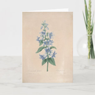 Campanula by Botanical Redoute Sympathy Card