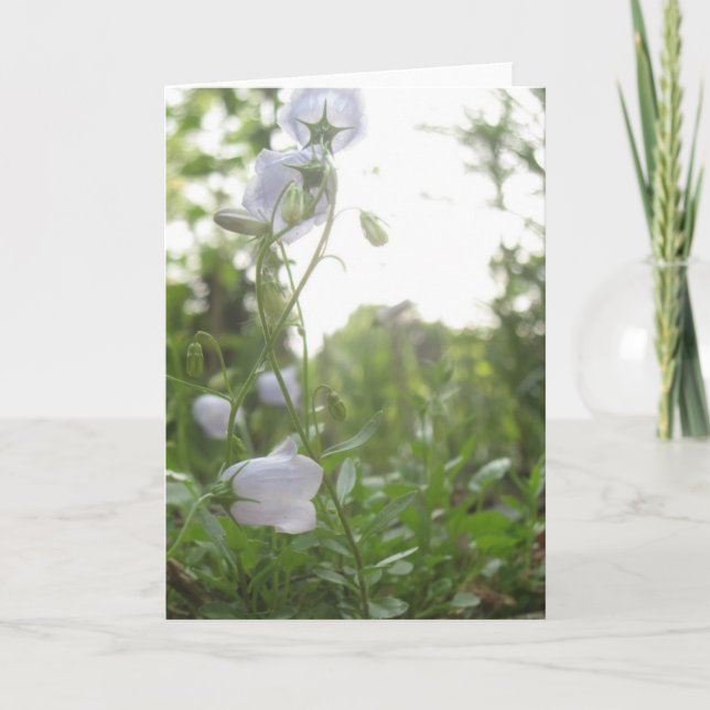 Campanula Card (Front)