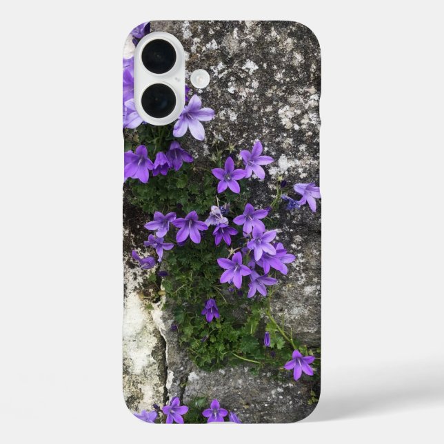 Campanula Flowers Growing on a Wall Case-Mate iPhone Case (Back)