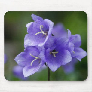 Campanula Mouse Pad