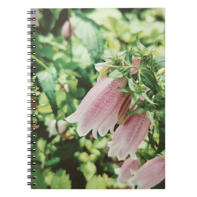 Campanula Photo Notebook (Front)