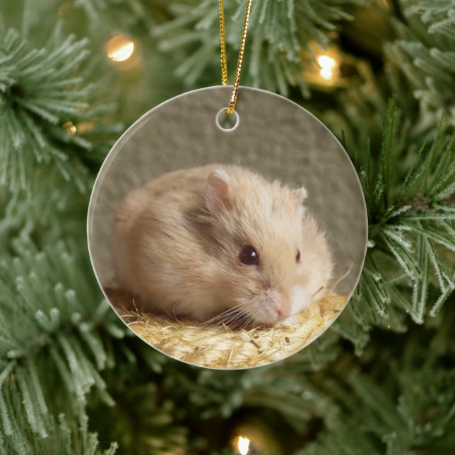 Campbells Dwarf Russian Hamster Ceramic Tree Decoration (Tree)
