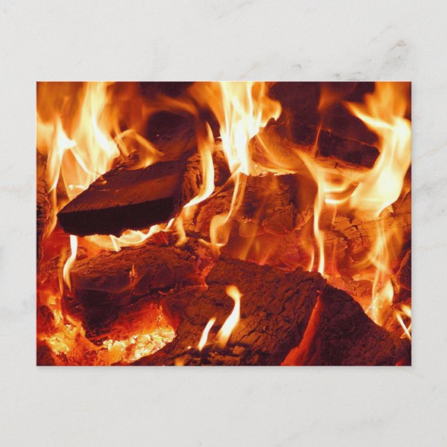 Campfire Blazing, Wood Burning, Flames, Close-up  Postcard (Front)