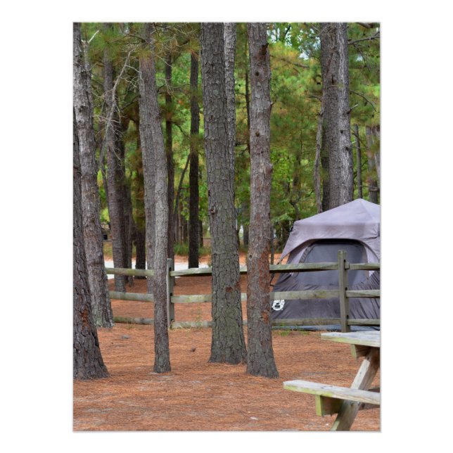 Campground with tent and fence in woods poster (Front)