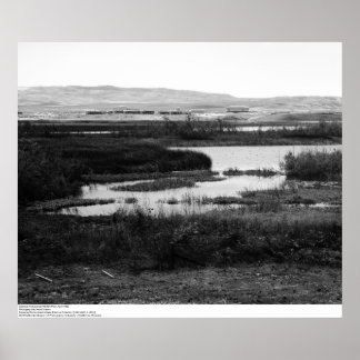 Campus from across Wildlife Pool, Irvine, 1967 Poster