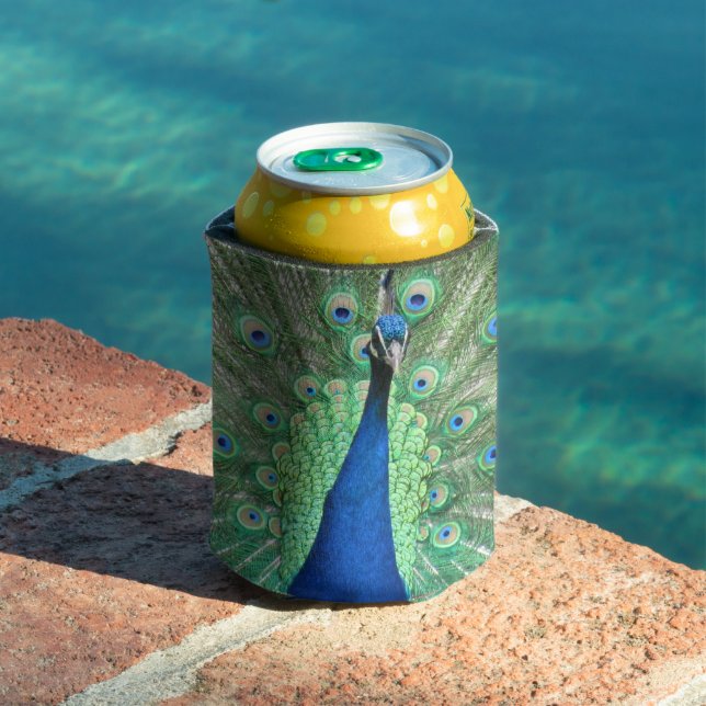Can Cooler - Peacock Portrait (In Situ Pool)