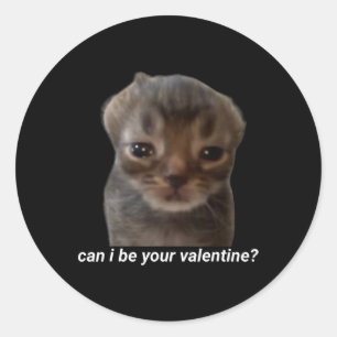 Can I Be Your Valentine Funny Cat Meme Brainrot Ge Classic Round Sticker