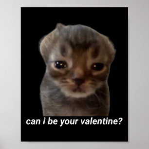 Can I Be Your Valentine Funny Cat Meme Brainrot Ge Poster