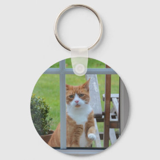 Can I Come In Pumpkin. Key Ring