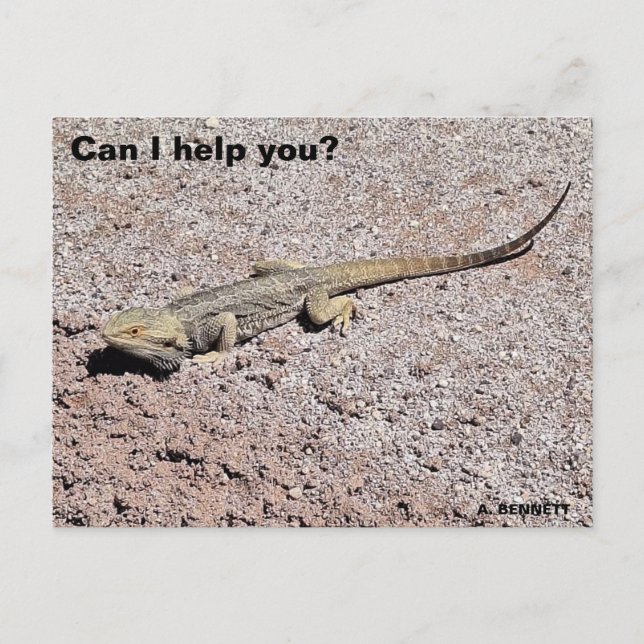 Can I help you? Postcard (Front)