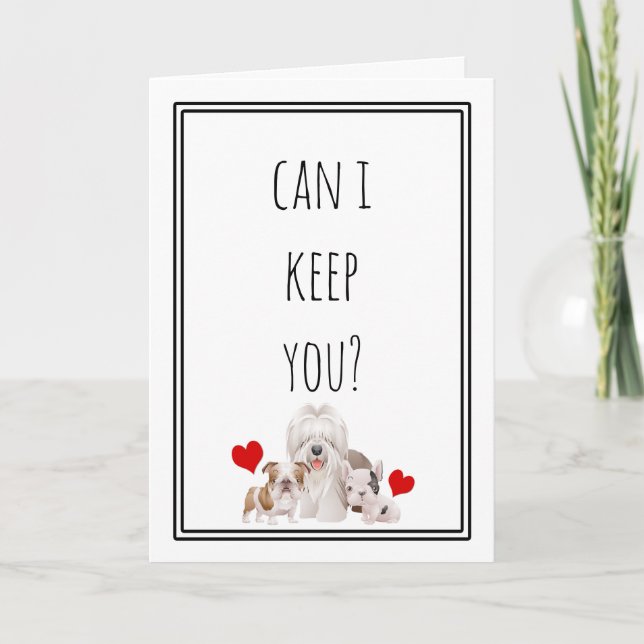 Can I Keep You? Funny Valentine Holiday Card (Front)