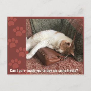 Can I purr-suade you Cute Cat Puzzle Postcard