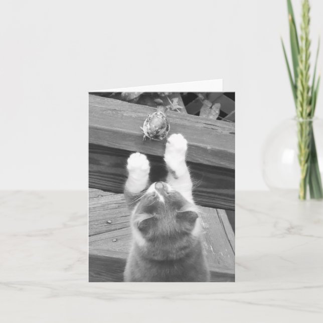 Can  we be FRIENDS? Card (Front)