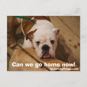 Can we go home now! postcard