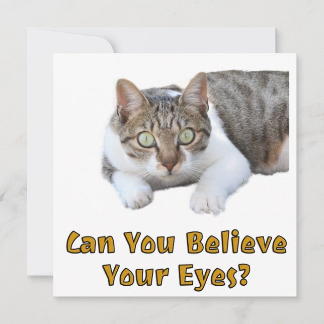 Can You Believe Your Eyes Cute Cat Art Card (Front)