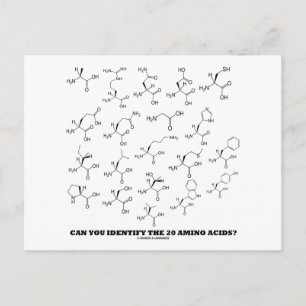 Can You Identify The 20 Amino Acids? (Chemistry) Postcard