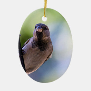 Can You Sparrow Moment Ceramic Tree Decoration