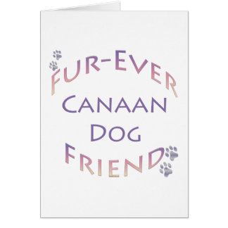 Canaan Dog Furever