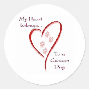 Canaan Dog Heart Belongs Classic Round Sticker
