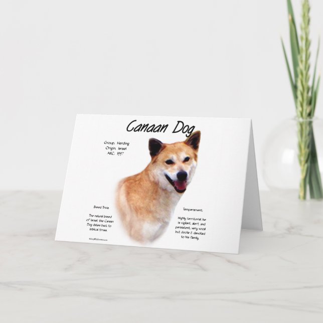 Canaan Dog History Design Holiday Card (Front)