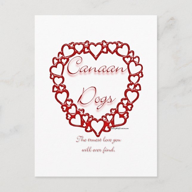 Canaan Dog True Love Postcard (Front)