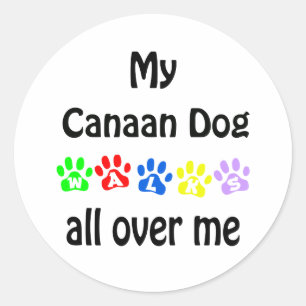 Canaan Dog Walks Design Classic Round Sticker
