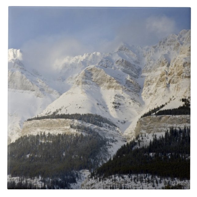 Canada, Alberta, Banff National Park. View of Tile (Front)