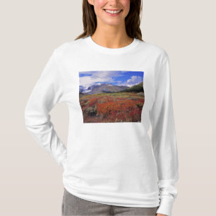 Canada, Alberta, Banff NP. Huckleberries bloom T-Shirt