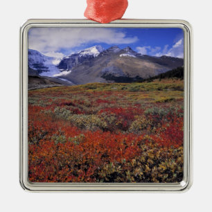 Canada, Alberta, Banff NP. Huckleberries provide Metal Tree Decoration