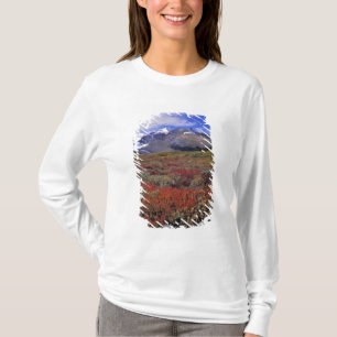 Canada, Alberta, Banff NP. Huckleberries provide T-Shirt