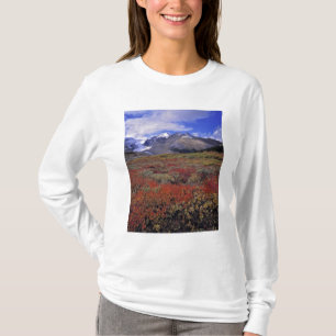 Canada, Alberta, Banff NP. Huckleberries provide T-Shirt