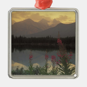 Canada, Alberta, Banff. Sunrise scenic of Metal Tree Decoration