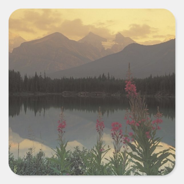 Canada, Alberta, Banff. Sunrise scenic of Square Sticker (Front)