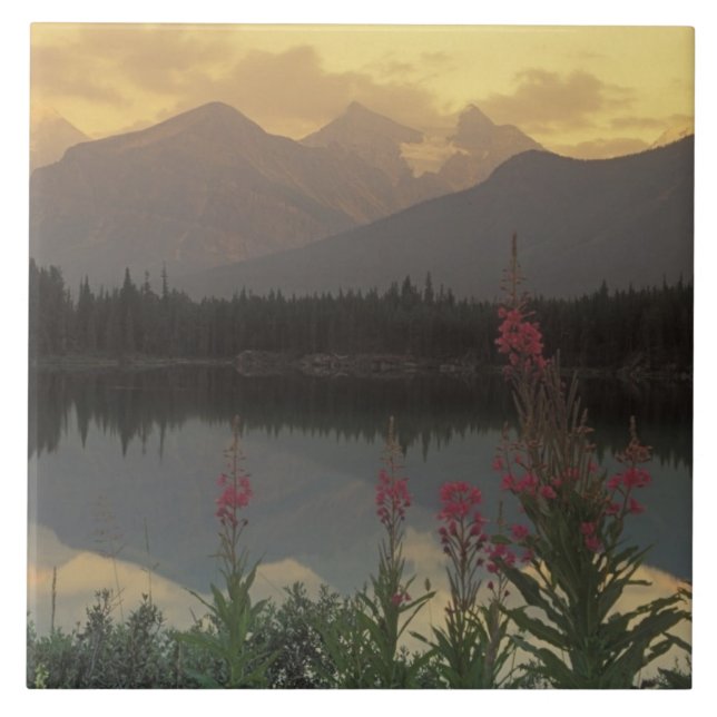 Canada, Alberta, Banff. Sunrise scenic of Tile (Front)