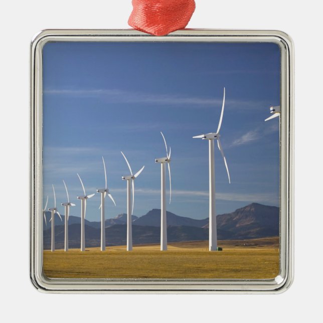 Canada, Alberta, Crowsnest Pass Area: Cowley Metal Tree Decoration (Front)