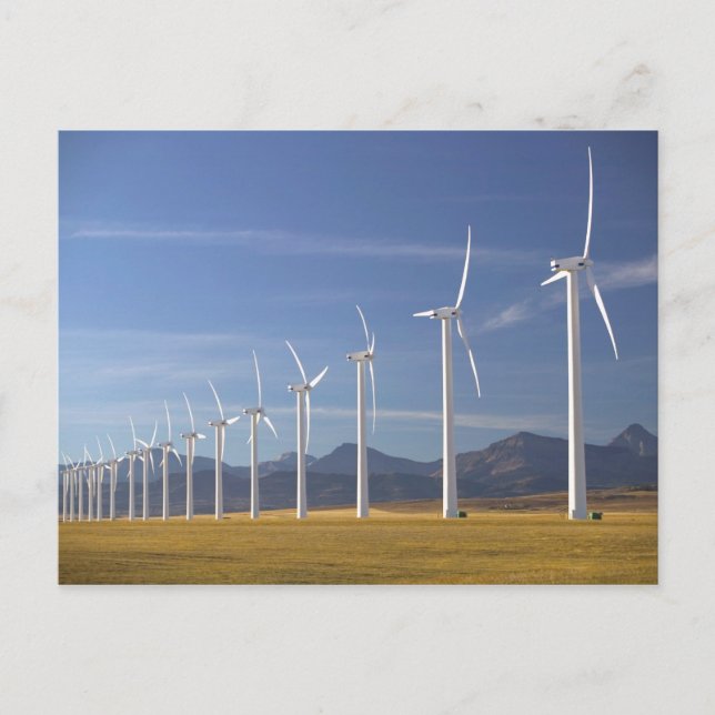 Canada, Alberta, Crowsnest Pass Area: Cowley Postcard (Front)