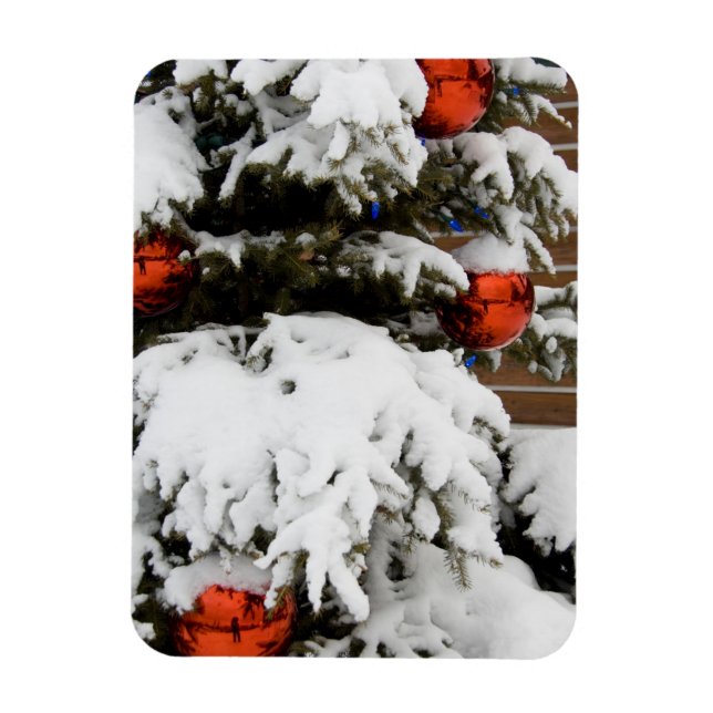 Canada, Alberta, Jasper, Jasper NP. Fairmont 2 Magnet (Vertical)