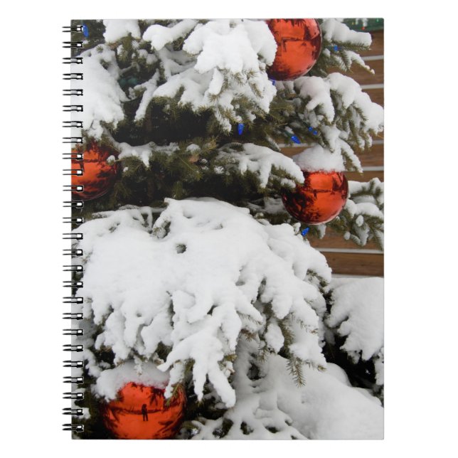 Canada, Alberta, Jasper, Jasper NP. Fairmont 2 Spiral Notebook (Front)